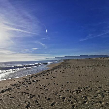 Appartement Climatise Vue Mer 208 Canet-en-Roussillon Exteriör bild