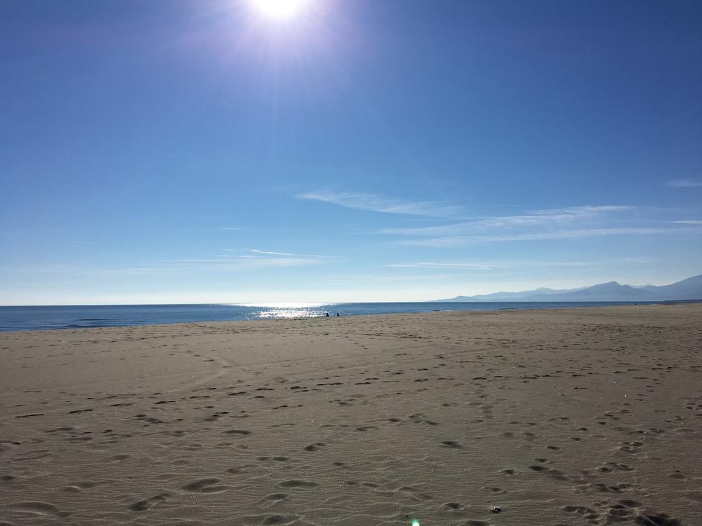 Appartement Climatise Vue Mer 208 Canet-en-Roussillon Exteriör bild